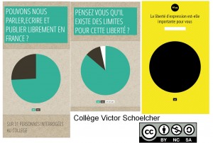 Defi_1_Sondage_Infographie_Liberte_d_expression__College_Victor_Schoelcher_