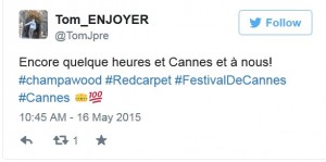 vignette twitter