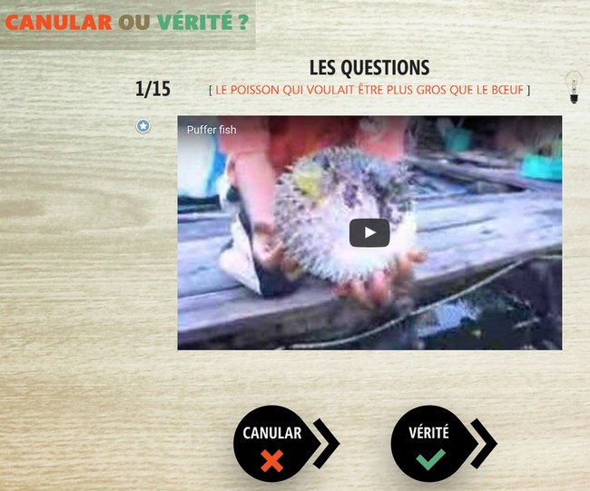 canular ou vérité