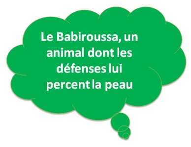 babiroussa