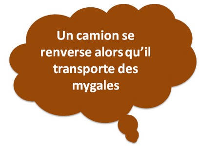 camion