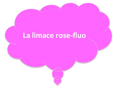 limace